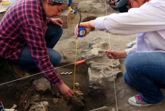 Arqueólogos encontraron restos óseos de 800 años de antigüedad en México.