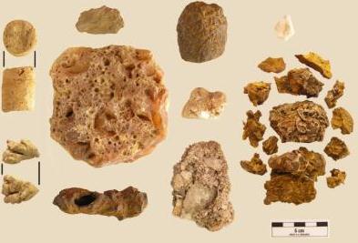 Piedras chamánicas encontradas en Panamá de aproximadamente 4.000 años de antigüedad.