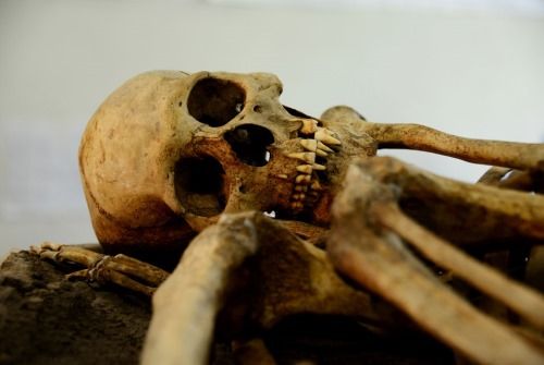 esqueleto prehispanico mexico