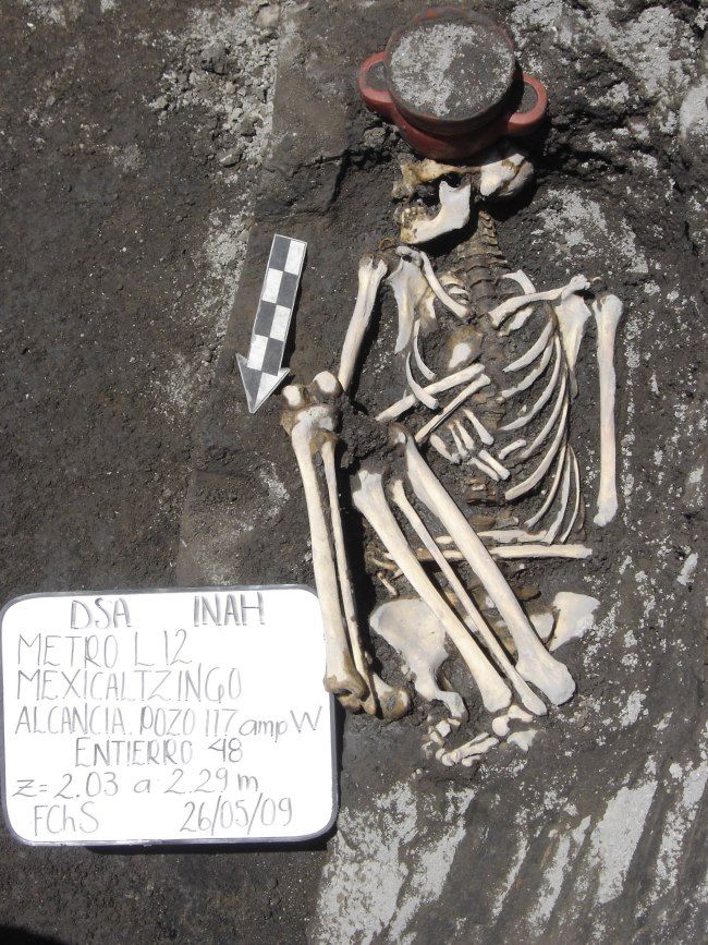 esqueleto ciudad de mexico