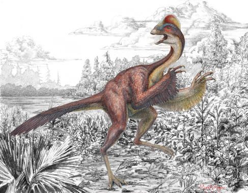 dinosaurio Anzu wyliei