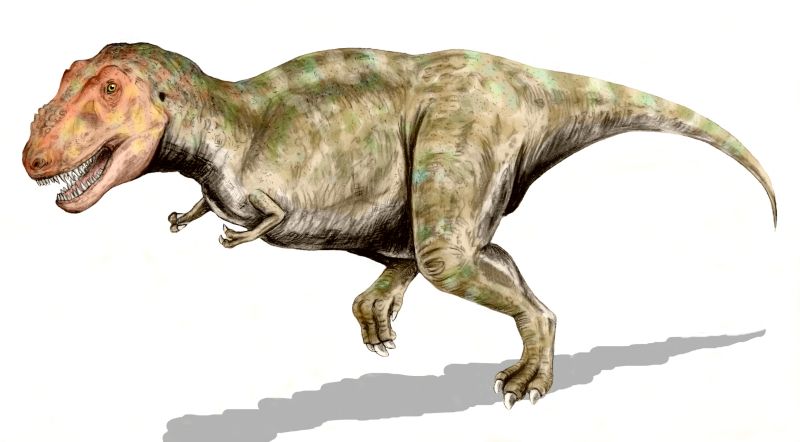 tyranosaurio