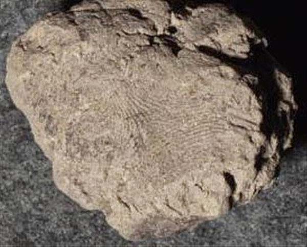 Huellas dactilares de 10.000 años halladas en Turquía