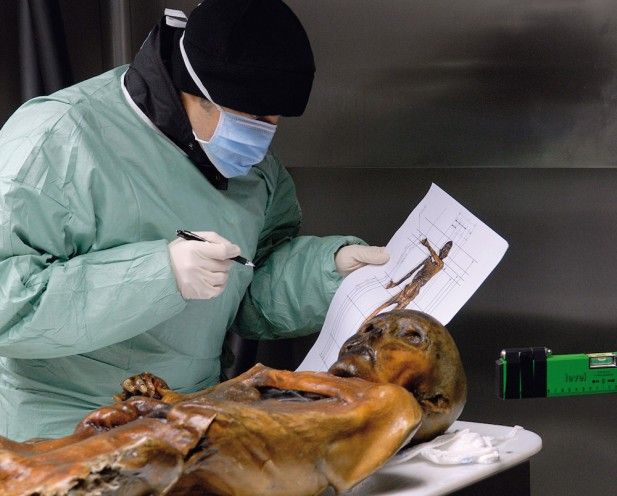 Estudio a Ötzi, el Hombre de Hielo. Crédito ©South Tyrol Museum of Archaeology/Eurac/Samadelli/Staschitz