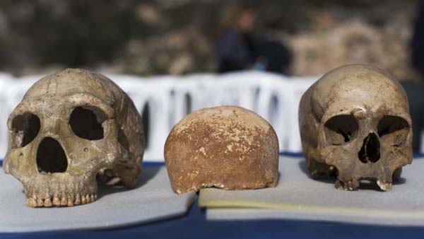 El cráneo encontrado en Manot podría pertenecer a uno de los primeros híbridos entre Neandertales y Homo Sapiens.