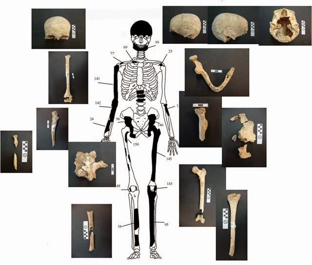 Representación y restos del esqueleto de la mujer encontrada en Anfípolis