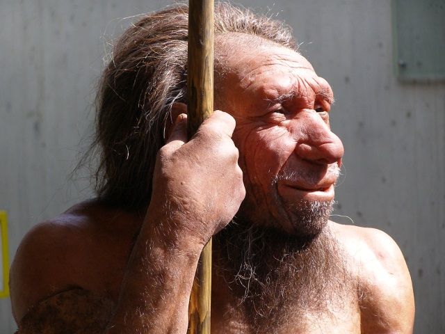 Los neandertales desaparecieron de la Península Ibérica antes que del resto de Europa.