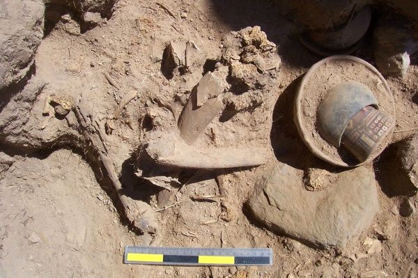 En Perú se han hallado decenas de tumbas con momias totalmente desmembradas.