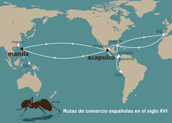 Las rutas comerciales de los barcos españoles del siglo XVI llevaron a las hormigas de fuego por todo el mundo.