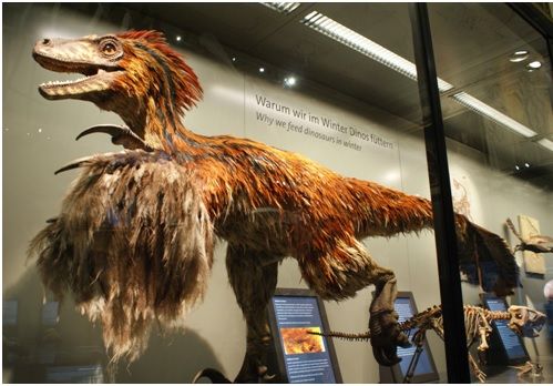 El velocirraptor, al contrarío de lo que se cree, tenía un plumaje excepcional. Crédito: Reedit.