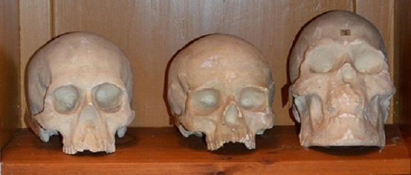 Suecia ha devuelto a la Polinesia 10 cráneos que fueron extraídos en el siglo XIX por Hjalmar Stolpe.