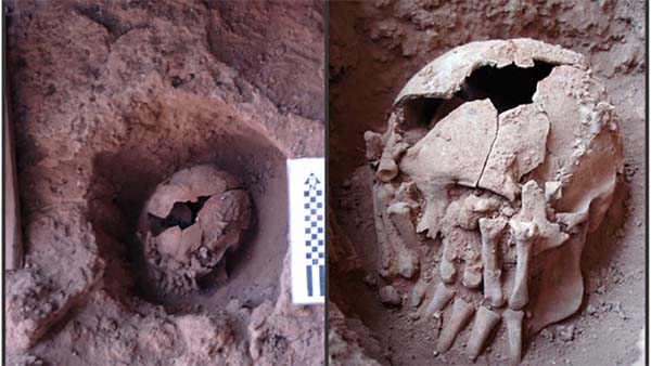 El cráneo decapitado más antiguo de América ha sido encontrado en Brasil.