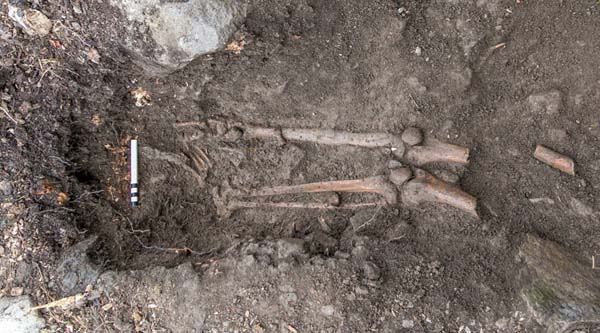 Esqueleto de 1.000 años encontrado en Irlanda tras una tormenta.