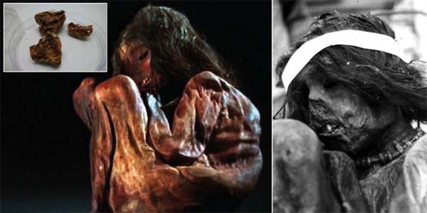 La momia de un niño Inca ha demostrado tener un nuevo linaje genético.