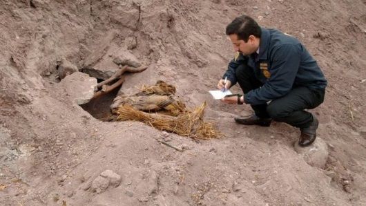 Momias de la Cultura Copiapó encontradas en Atacama. Chile. Crédito: PDI