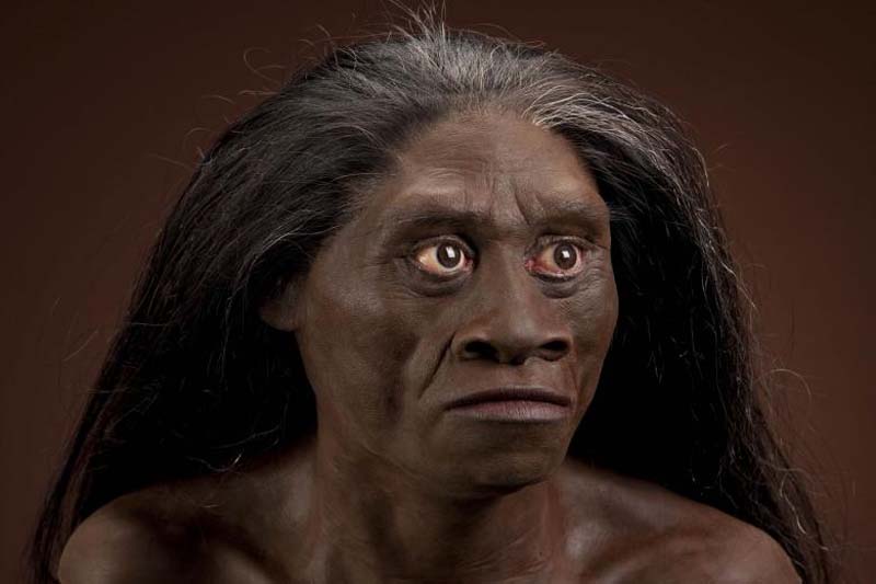 Características del Homo floresiensis, el homínido de Isla de Flores