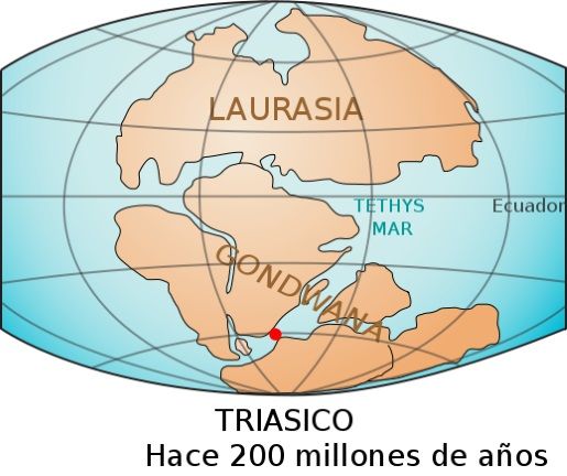 supercontinente pangea gondwana y laurasia
