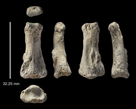 fosil homo sapiens mas antiguo de asia