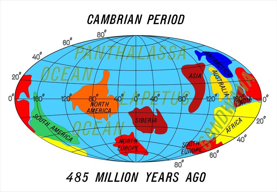 continentes periodo cambrico