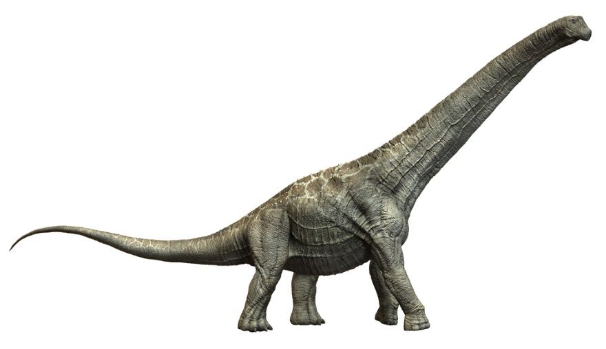 dinosaurio aegyptosaurus