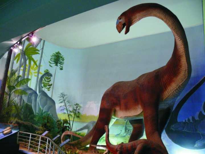Dinosaurios: Algoasaurus, el lagarto de Algoa - Red Historia