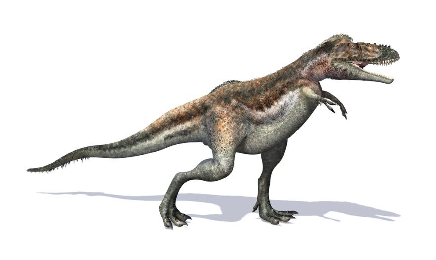 Alioramus dinosaurio