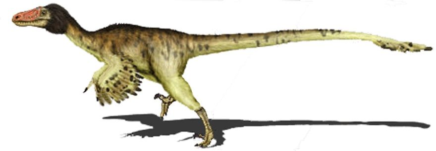 dinosaurio adasaurus