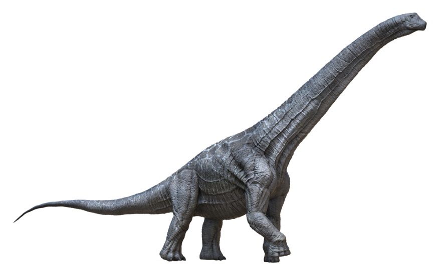 dinosaurio alamosaurus
