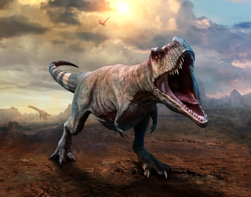 Características del Tyrannosaurus Rex (Tiranosaurio), el mayor depredador  de la Historia de la Tierra