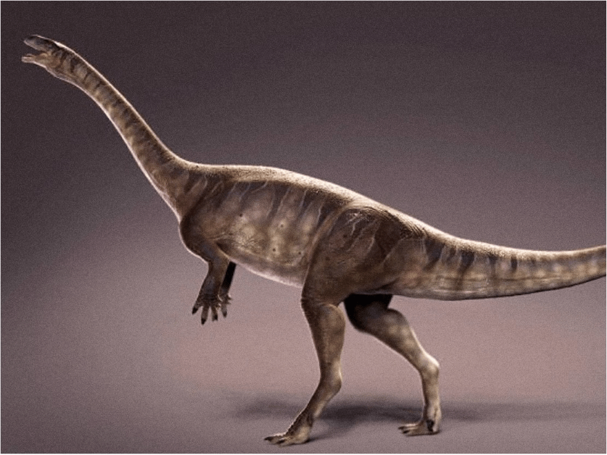 Macrocollum itaquii dinosaurio cuello largo mas antiguo