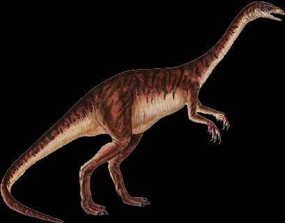 ammosaurus dinosaurio