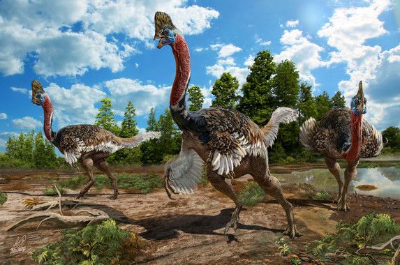 nueva especie dinosaurio Corythoraptor jacobsi