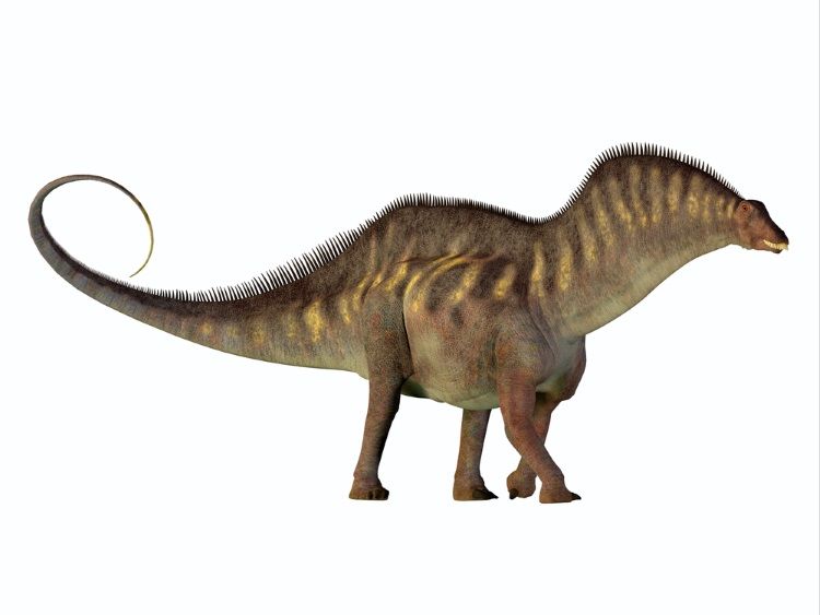 dinosaurio amargasaurus