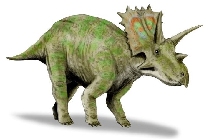 dinosaurio anchiceratops