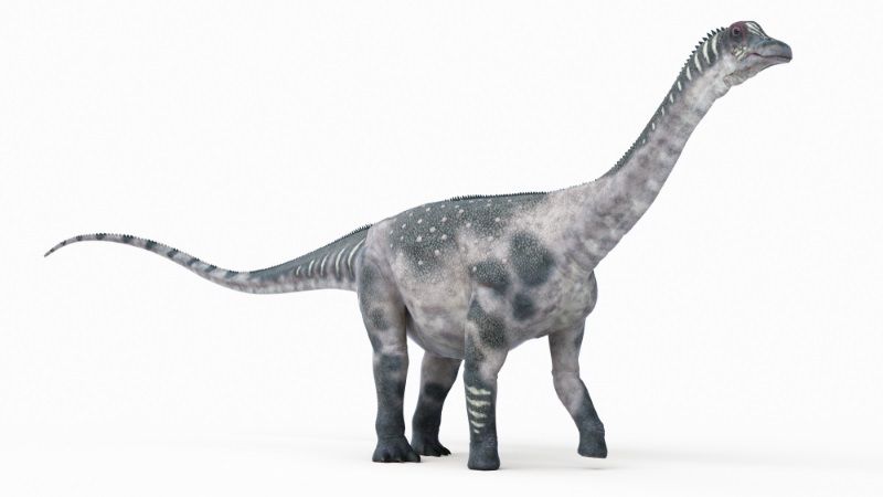 Antarctosaurus dinosaurio