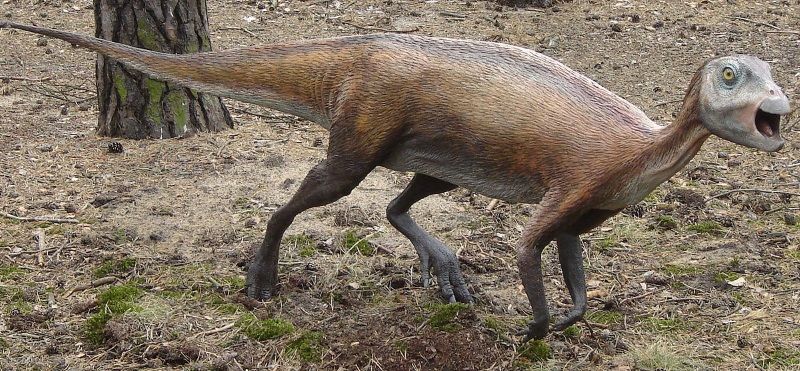 dinosaurio Atlascopcosaurus
