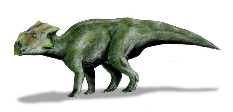 dinosaurio bagaceratops
