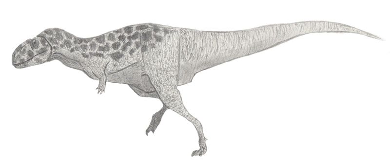 dinosaurio bahariasaurus
