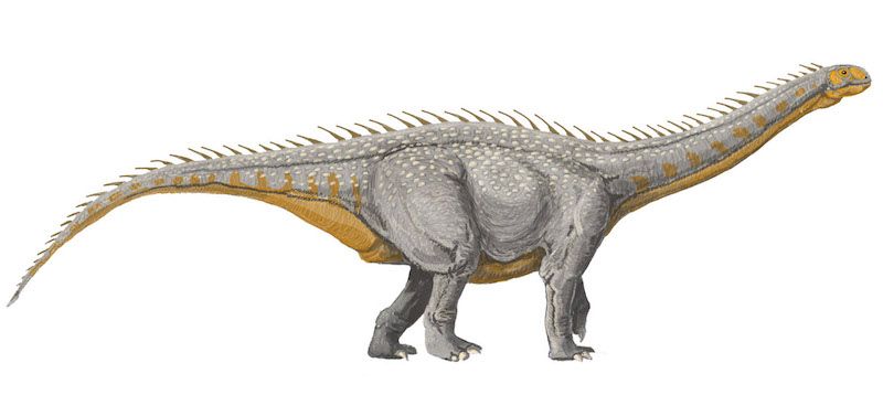 dinosaurio barapasaurus