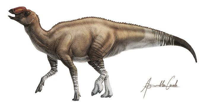 dinosaurio Aquilarhinus