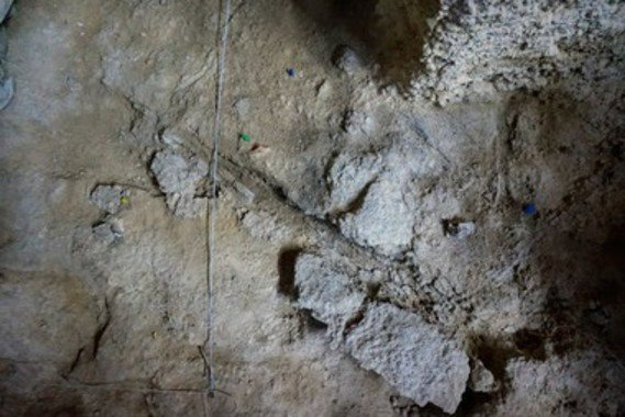 restos de madera neandertal en barcelona