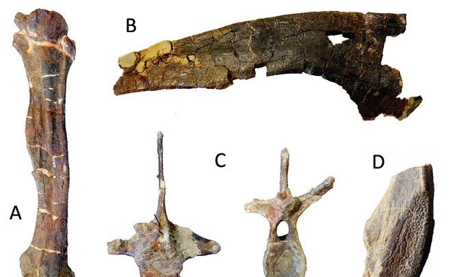fosiles dinosaurio lambeosaurino europa