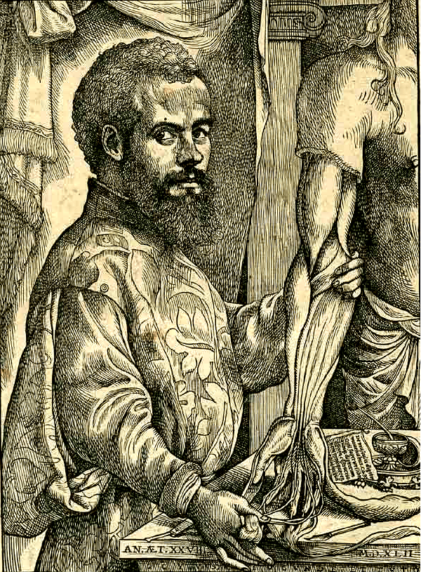 andreas vesalius andreas vesalius