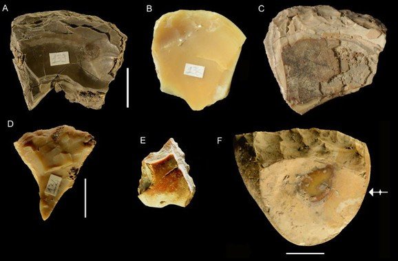 herramientas neandertal conchas marinas
