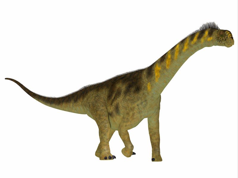 dinosaurio camarasaurus