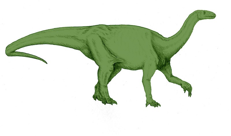 dinosaurio camelotia