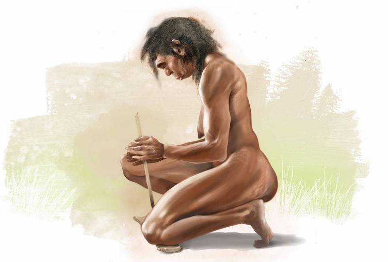 alimentacion primeros hominidos