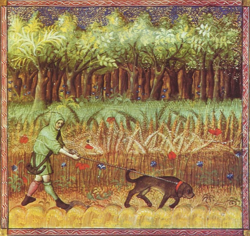 ilustración caza