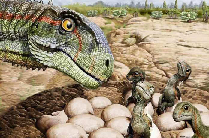 huevos de dinosaurios como eran los huevos de dinosaurio