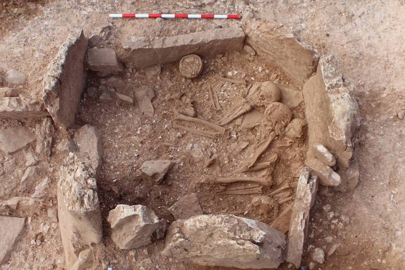 desenterrar muertos prehistoria